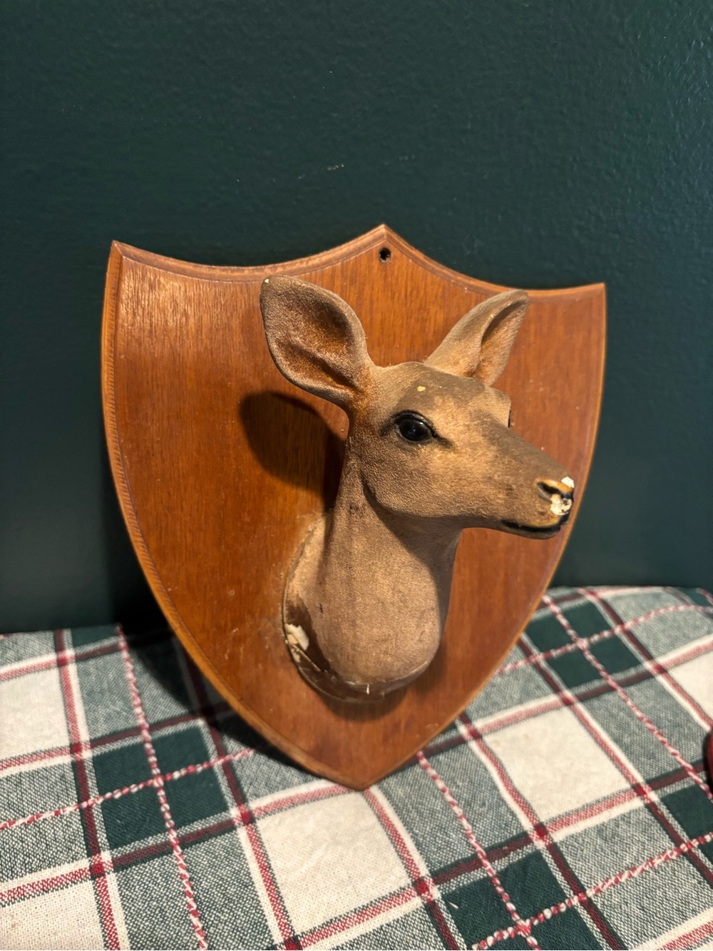 Antique Brown Deer Head Wall Decor on Wood Shield